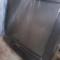 تلوزیون