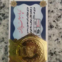 سکه پارسیان 2 گرمی