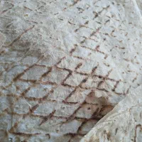 نون تیری گل دار