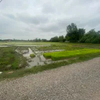 فروش زمین در جانبازان کوچه افضلی نزدیک خیابان