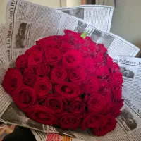دسته گل ۵۰شاخه