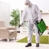 سمپاشی*موریانه زدایی*سم پاشی ساس سوسک موش عقرب مار