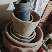 تعدادی گلدان حیاط