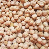 نخود|خوردنی و آشامیدنی|کوهین, |دیوار
