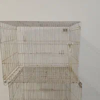 قفس پرنده