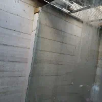 شیشه سکوریت  مناسب قفس