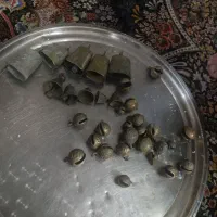 ظروف عتیقه