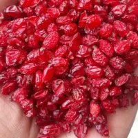 فروش عمده و جزیی انواع زرشک