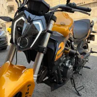 بنلی 300