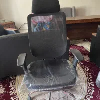 صندلی ریاست طبی