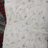 تشک یا نالی