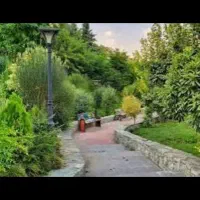 جویای کار