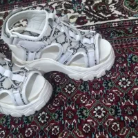 کفش اسپرت سالم