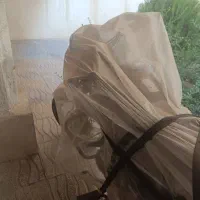 موتور دینو طرح باکسر