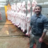 قصاب سیار