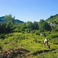 250-متر-زمین-ویلایی-مسکونی-خانه-های-آسیاب