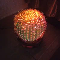 چراغ طرح کاکتوس