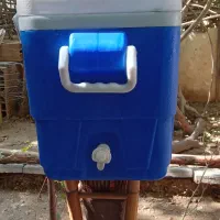 کلمن