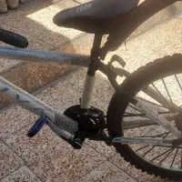 دوچرخه ۲۴