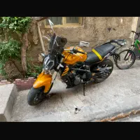 بنلی ۳۰۰ جفت