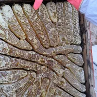 عسل طبیعی اورامانات