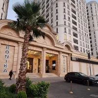 رونیکـا-پـالاس-چـشـم-انـداز-ابدی-و-خـیره-کننده