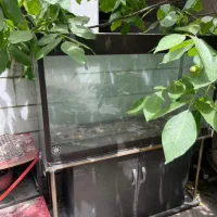 اکواریوم