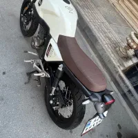 زونتس۲۳۰