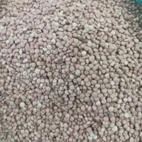 عدس ریز کانادا