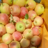 سیب عمده  2 قیمت خوب