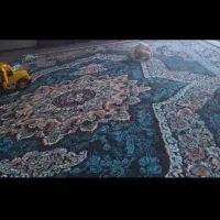 قالی