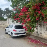 پژو ۲۰۶ تیپ ۲