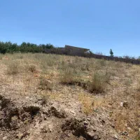 زمین سربندان ۶۵۰ متر