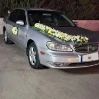 ماکسیما ۸۳