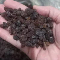 کشمش افتابی پاک شده ودمگیری شده تمیز و شسته شده|خوردنی و آشامیدنی|تاکستان, |دیوار