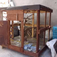 فروش قفس