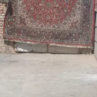 قالی