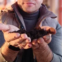 اصلاح خاک . کمپوست . گلخانه . زعفران