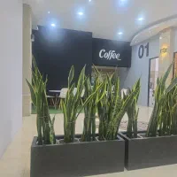 استخدام کارشناس فروش حضوری اقا و خانم