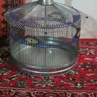 یک عدد قفس کامل نو