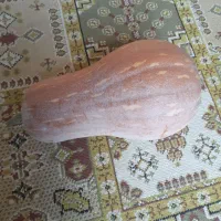 کدو حلوایی