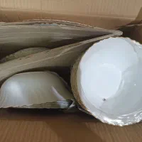 سرویس ارکوپال