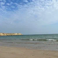 زمین ۵ هکتار با مجوز بر اول سلخ