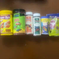 غذای ماهی