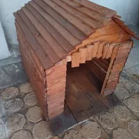 لانه حیوانات