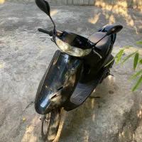 هوندا دیو zx