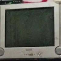 تلویزیون