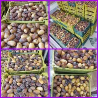خرمای تازه نوبرانه