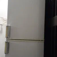 یخچال درحدنو