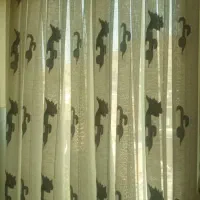 پرده